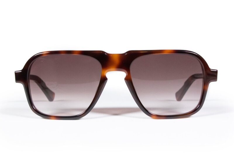 Fraser - Tortoise Shades With Organic Lens
