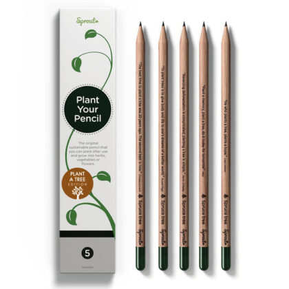 Sprout Plantable Spruce Tree Graphite Pencils - 5pk. USD10.39